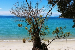 Abel Tasman National Park - 27