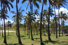 Easter Island - 03 - Anakena beach