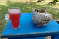 Easter Island - Anakena - Watermelon juice