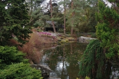 Botanic Gardens - 12