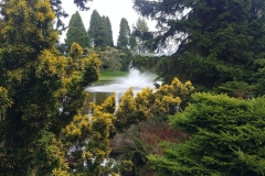 Botanic Gardens - 13