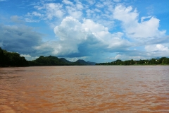 Botanical gardens - Mekong upstream2