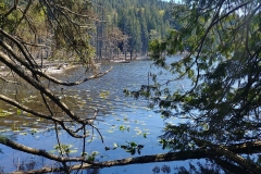 Bowen Island - 11