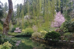 Butchart Gardens - 07