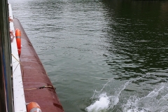 Cat Ba Sea Kayaking - jumping from the boat