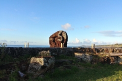 Hanga Roa petroglyph