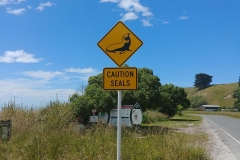 Kaikoura 21 - Caution Seals