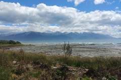 Kaikoura 22