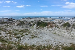 Kaikoura 30