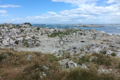 Kaikoura 31