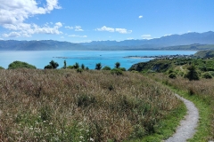 Kaikoura 47