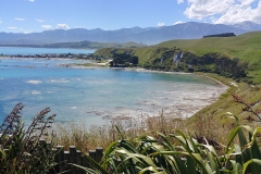 Kaikoura 49