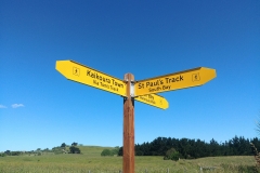 Kaikoura 54 - Signs