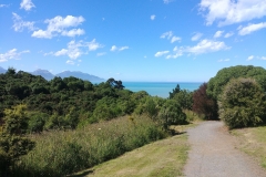 Kaikoura 56