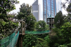 Kuala Lumpur - Canopy walkway