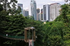 Kuala Lumpur - Canopy walkway2