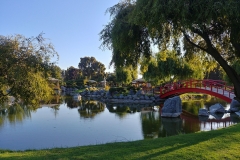 La Serena - Japanese Garden - 09