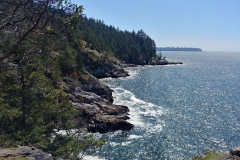 Lighthouse Park - 03