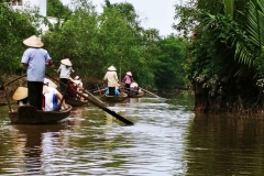 Rowing boats