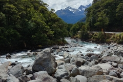 Hollyford River 02