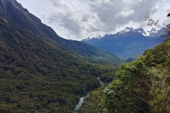 Hollyford Valley