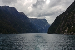 Milford Sound 21