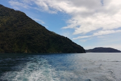 Milford Sound 24