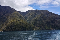 Milford Sound 25