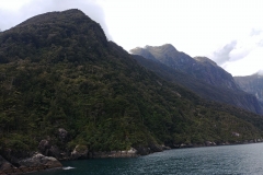 Milford Sound 27