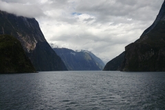 Milford Sound 29