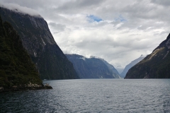 Milford Sound 32