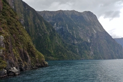 Milford Sound 35