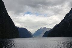 Milford Sound 37