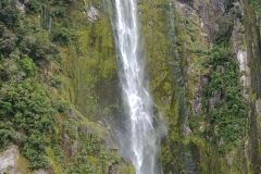 Milford Sound 40