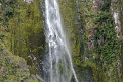 Milford Sound 41