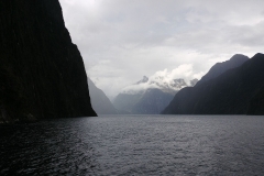 Milford Sound 44