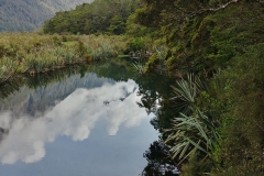 Mirror Lakes 14