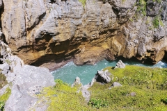 Punakaiki - Pancake rocks - 17