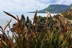 Punakaiki - Pancake rocks - 28