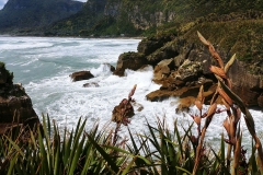 Punakaiki - Pancake rocks - 33