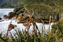 Punakaiki - Pancake rocks - 34