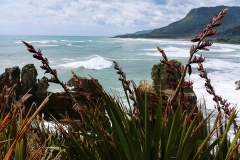 Punakaiki - Pancake rocks - 36