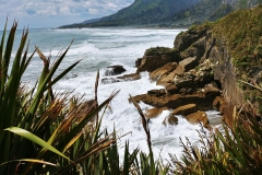 Punakaiki - Pancake rocks - 39