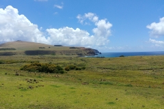 Easter Island - Rano Raraku - 11