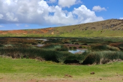 Easter Island - Rano Raraku - 22 - Inside