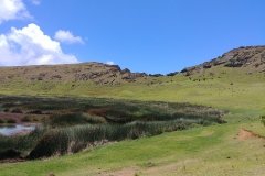 Easter Island - Rano Raraku - 23