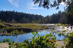 Stanley Park - 09 - Beaver Lake