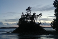 Tofino - 04