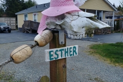 Tofino - 09 - Esther