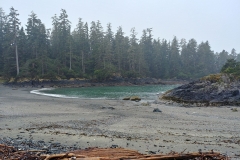 Tofino - 12